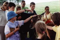 FRAJDA_RAMSOWO_I_LATO-2002-3