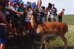 FRAJDA_RAMSOWO_III_LATO-2002-14