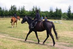 FRAJDA_LATO-2007_NOWA-KALETKA_-151
