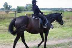 FRAJDA_LATO-2007_NOWA-KALETKA_-160