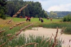FRAJDA_LATO-2007_NOWA-KALETKA_-175