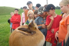 FRAJDA_LATO-2007_RAMSOWO_TURNUS-IV_-56