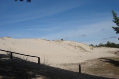 FRAJDA_LATO-2007_USTKA_TURNUS-II_-165