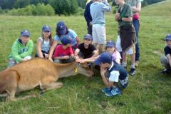 FRAJDA_LATO-2008_NOWA-KALETKA-30