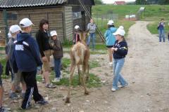 FRAJDA_LATO-2008_RAMSOWO_TURNUS-I_-132