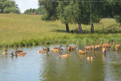 FRAJDA_LATO-2008_RAMSOWO_TURNUS-I_-153