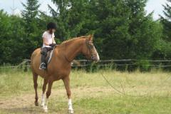 FRAJDA_LATO-2010_NOWA-KALETKA_-46