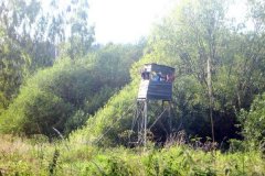 FRAJDA_LATO-2011_RAMSOWO_TURNUS-IV-47