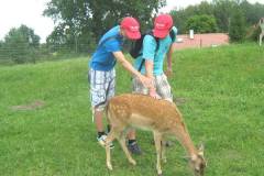 FRAJDA_LATO-2011_WILIMY_TURNUS-I_-110