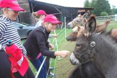 FRAJDA_LATO-2012_WILIMY_TURNUS-IV_-119