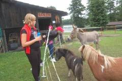 FRAJDA_LATO-2012_WILIMY_TURNUS-IV_-120