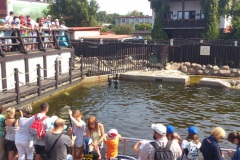 FRAJDA_LATO-2013_SWARZEWO_TURNUS-II_-41