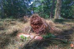 FRAJDA_LATO-2018_SLESIN_TURNUS-III_-74