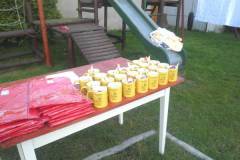 FRAJDA_LATO-2012_SWARZEWO_TURNUS-I-269