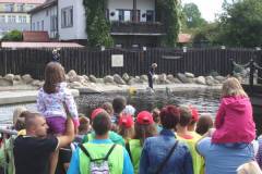 FRAJDA_LATO-2012_SWARZEWO_TURNUS-I-77