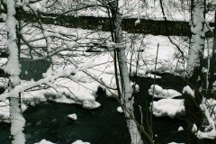 FRAJDA_ZIMA-2009_WISLA_-256