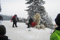 FRAJDA_ZIMA-2010_MURZASICHLE_-373
