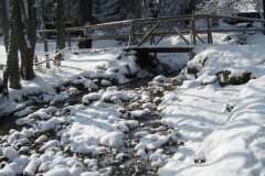FRAJDA_ZIMA-2011-MURZASICHLE_-121