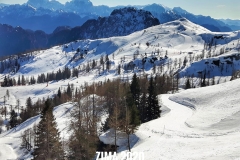 FRAJDA_AUSTRIA 2020_90